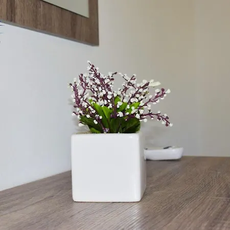 Seawitch Апартаменти