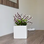 Seawitch Apartament